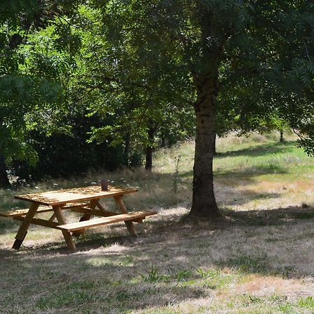 Domaine Des Terres Du Milieu / Gite De Cul De Sac Chateldon Eksteriør bilde